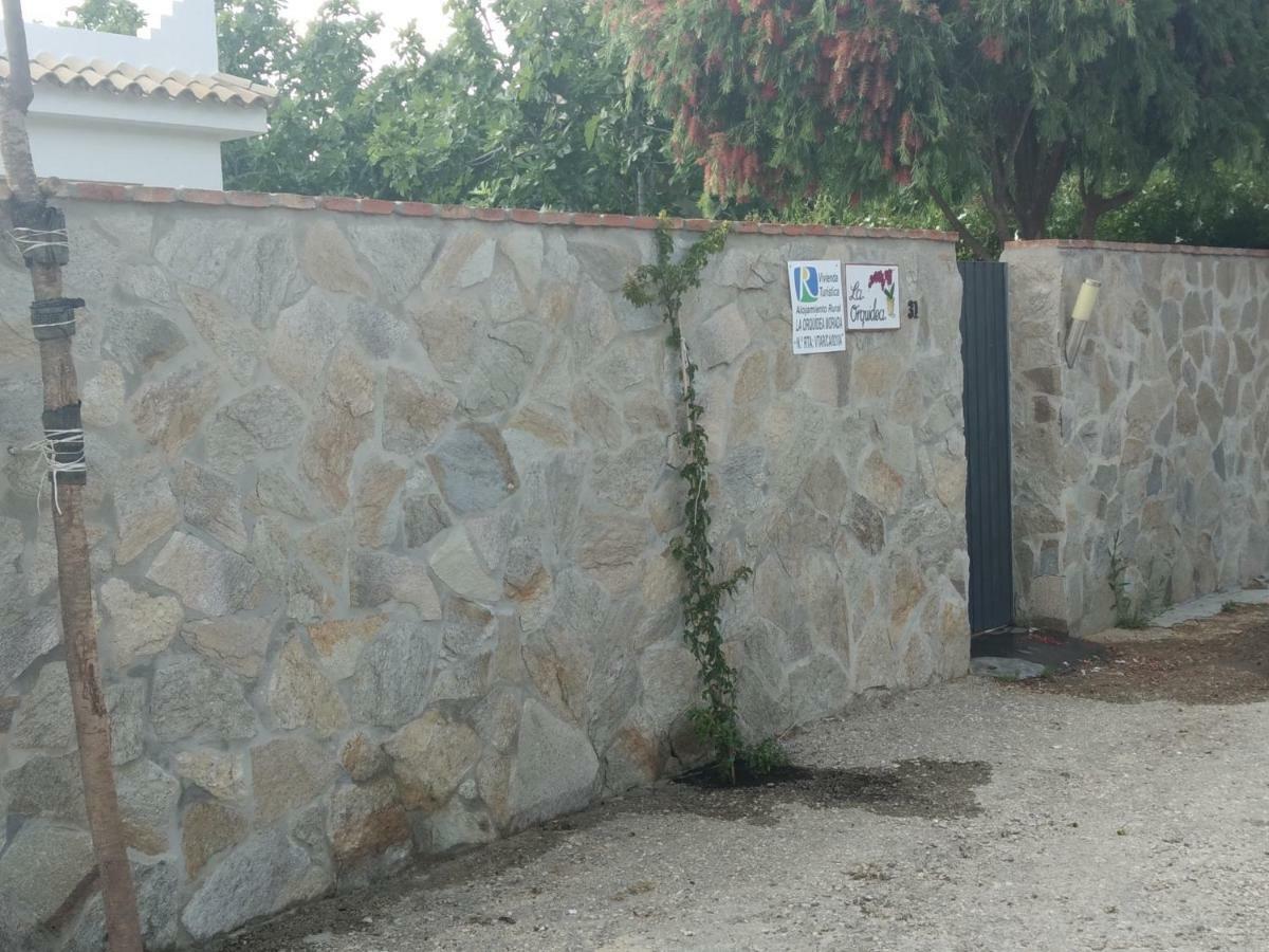 Villa La Orquidea Morada Conil De La Frontera Exterior foto